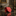 Solid Red Necktie  