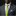 Man wearing a gray suit with a green tie and floral pocket square on a black background