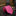 Sophisticated Pink Single Tie