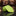 Sophisticated Lime Green Necktie  