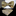 A Olive, Gold Paisley Pattern Self Tie Bow Tie, Matching Pocket Square