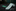 Alt White with Green Clovers Tie and Accenting Stripe Square