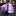 white purple dots tie 