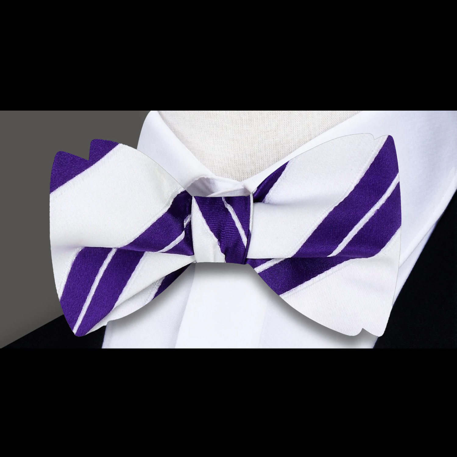 White with Purple Stripe Bow Tie 