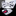 White with Black Dots Bow Tie and Accenting Pocket Square