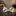 Yellow and Blue Pre Tied Bow Tie