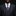 purple polka patterned tie and matching Square on man