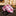 Pink Red Plaid Tie