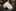  Multi Colored Bow Ties Necktie