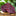 Burgundy Paisley Tie