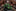 Shades of Green Blocks Tie  