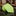 Lime Pinstripe Tie  
