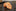 A Light Orange, Orange Floral Pattern Necktie  