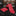 Red, White and Black Paisley Necktie and handkerchief