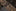 Shades of Brown Jesus Themed Necktie Keep