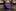A Purple, Black Geometric Oval Shaped Pattern Necktie 