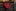 A Black, Red Stripe Pattern Necktie 