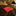 Red Handkerchief