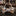 Shades of Brown Floral Bow Tie Pre Tied
