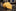 Yellow with geometric texture necktie