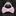 Pre Tied: Solid Glossy Blush Pink Bow Tie