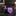 Soft Purple Single Tie View Zipper