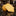 Dandelion Yellow Solid Necktie 